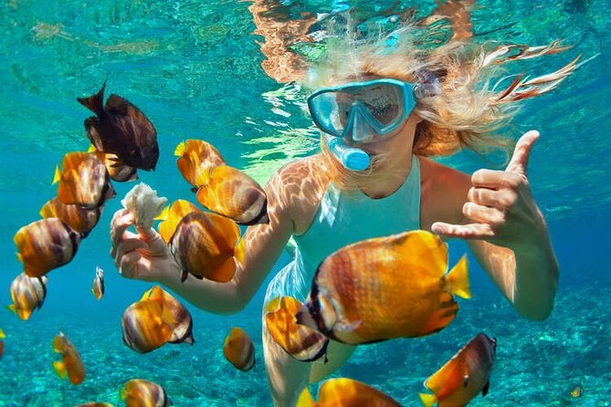1 Hour Private Snorkeling Activity In Montego Bay - Key points to know before booking