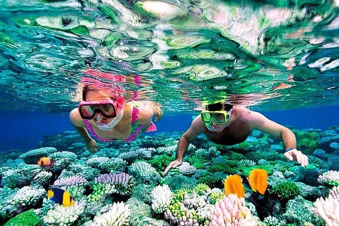 1 Hour Private Snorkeling Activity In Montego Bay - The short private boat ride to the reef