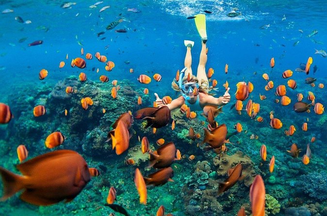 1 Hour Private Snorkeling Activity In Montego Bay - What private really means on this trip