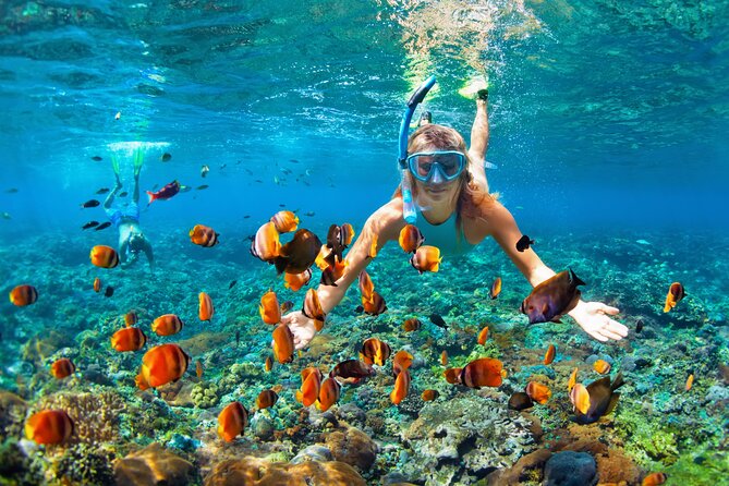 1 Hour Private Snorkeling Activity In Montego Bay - Is $110 per person a fair price?