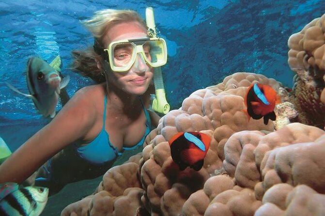 1 Hour Private Snorkeling Activity In Montego Bay - Who will enjoy this Montego Bay snorkeling trip?