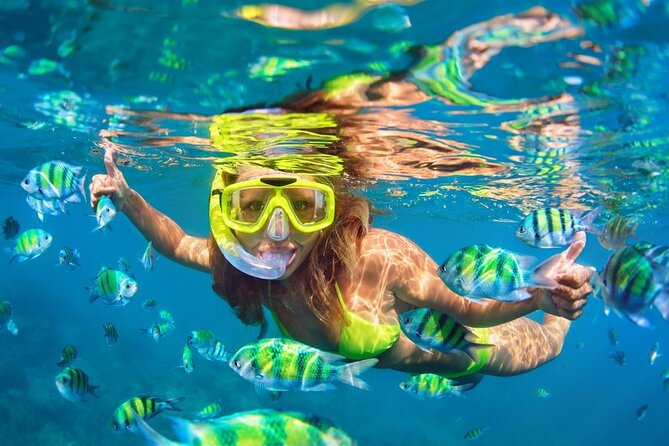 1 Hour Private Snorkeling Activity In Montego Bay - Timing, weather, and cancellation