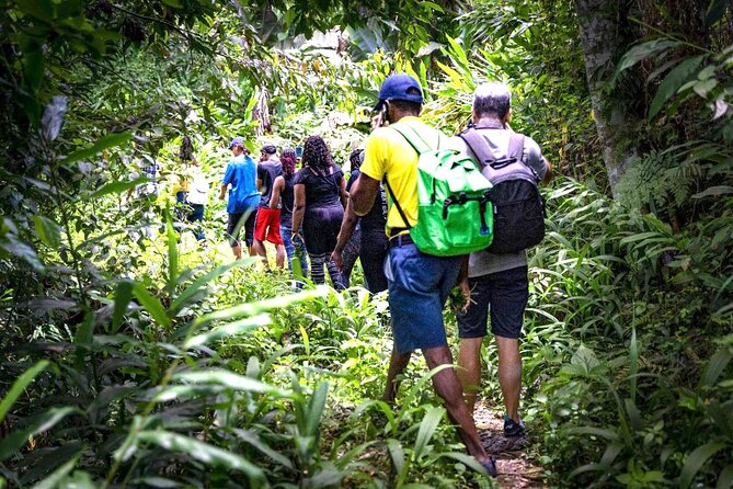 4-Hours Bike, Hike & Waterfall Tour in Blue Mountain with Lunch and Pick Up - Key points at a glance