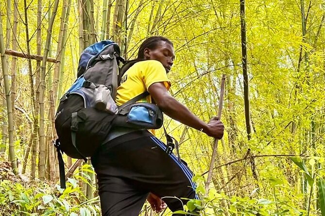 4-Hours Bike, Hike & Waterfall Tour in Blue Mountain with Lunch and Pick Up - The Blue Mountain experience in four compact hours