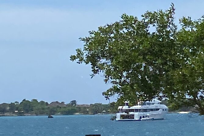 4 Hours Party Boat Catamaran Cruise in Negril - Snorkeling offshore before the final stop