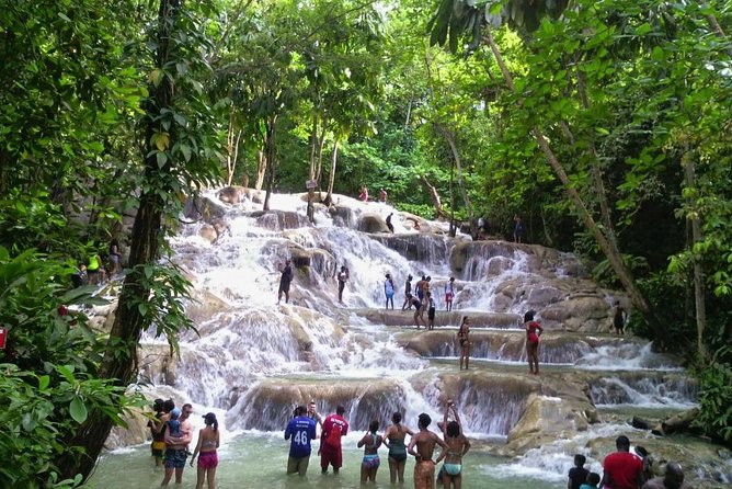 6. Bob Marley 9miles/Dunn's River Private Tour(420 Friendly)final resting place - Comfort, fitness, and group size