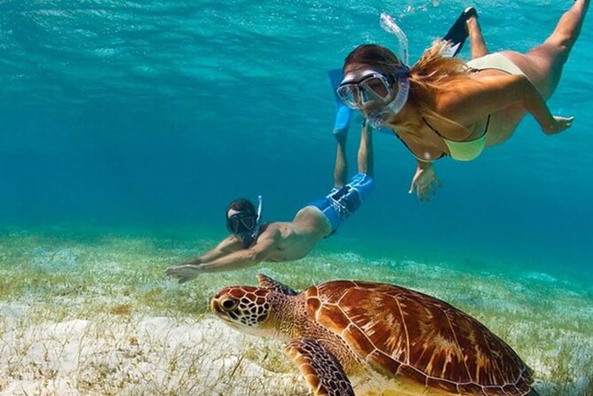 Adventurous-Snorkeling With Sightseeing of Montego Bay - Key points at a glance
