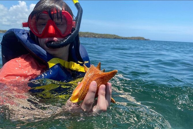 Adventurous-Snorkeling With Sightseeing of Montego Bay - Montego Bay sightseeing and souvenir shopping