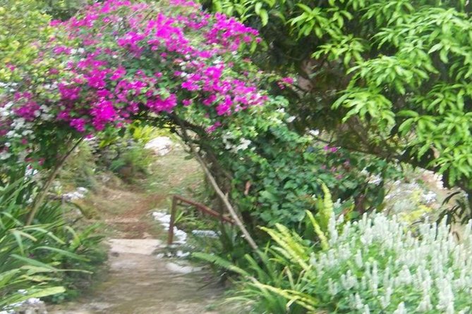 Ahhh Ras Natango Gallery and Garden Private Transfer - Ahhh Treasures and handmade souvenirs