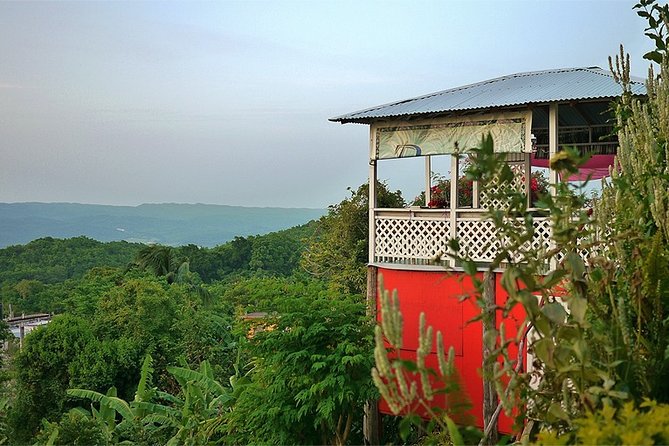 Ahhh Ras Natango Gallery and Garden Private Transfer - A seasonal juice to finish