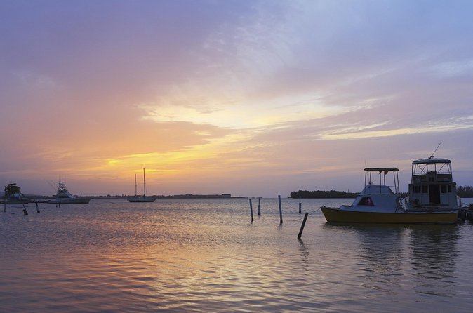 An Evening on the Lagoon: Martha Rafting, Luminous Lagoon and Falmouth Highlight - Lunch, fire show, and Jamaican beach-party time