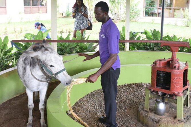 Appleton Estate Rum Factory And YS Falls Inclusive Tours From Montego Bay - The ride south from Montego Bay