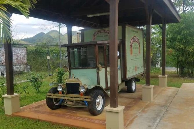 Appleton Estate Rum Private Tour - Lunch, timing, and the six-hour commitment