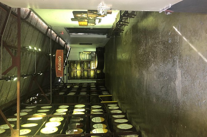 Appleton Estate Rum Tour - Sugarcane, molasses, and the first taste