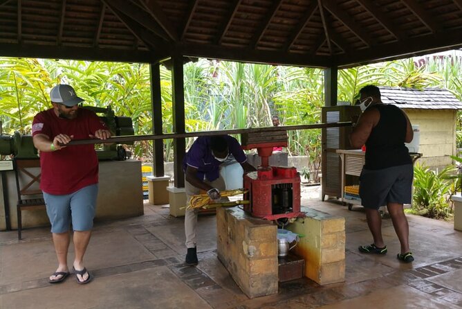 Appleton Estate Rum Tour and Pelican Bar Customize Tour - Why this route is more than a rum tasting