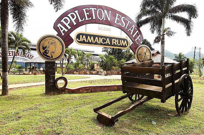 Appleton Estate Rum Tour and Tasting from Ocho Rios - What the rum tasting adds