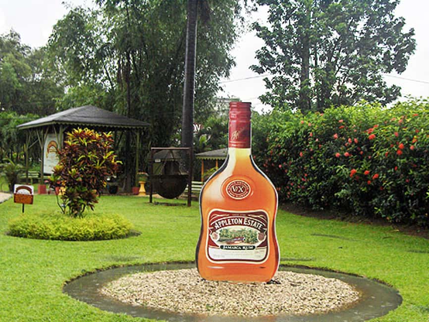 Appleton Estate Rum Tour: Full Day from Montego Bay - From sugar cane to fresh juice