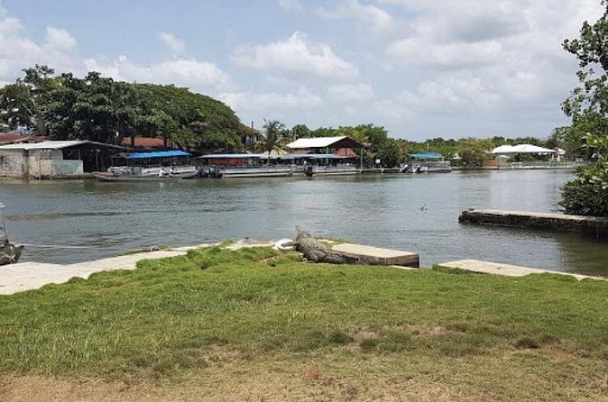 Appleton Estate Rum, YS Falls, Black River Safari / Floyd's Pelican Bar Tour - Choosing the right three stops