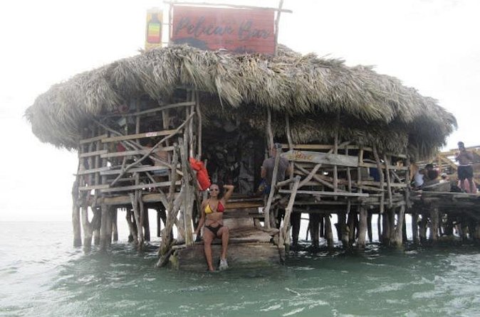Appleton Estate Rum, YS Falls, Black River Safari / Floyd's Pelican Bar Tour - The vehicle, guides, and road time