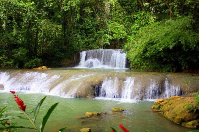 Appleton Estate, Ys Falls and Black River Safari Private Tour - Why this southern Jamaica combination works