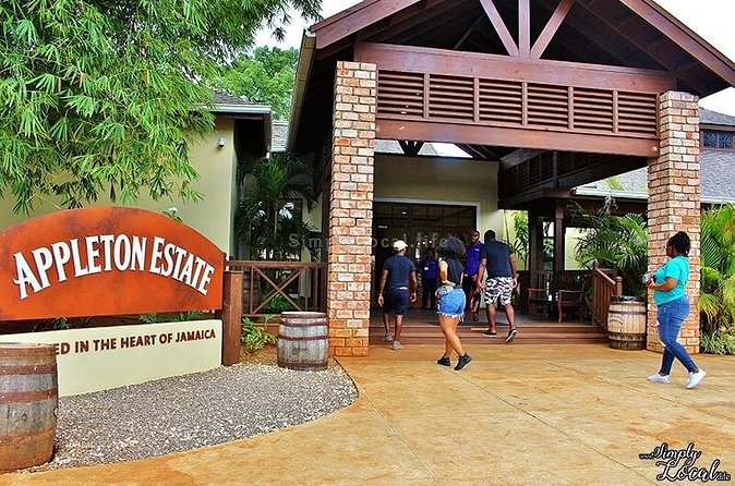 Appleton Estate, Ys Falls and Black River Safari Private Tour - What the $242.06 price includes in practical terms