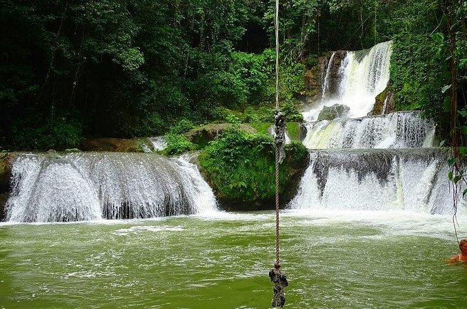 Appleton Estate, Ys Falls and Black River Safari Private Tour - Who will get the most from this tour