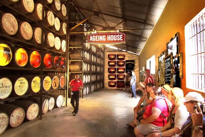 Appleton Estate, Ys Falls and Black River Safari Private Tour - Timing, weather, and simple planning advice