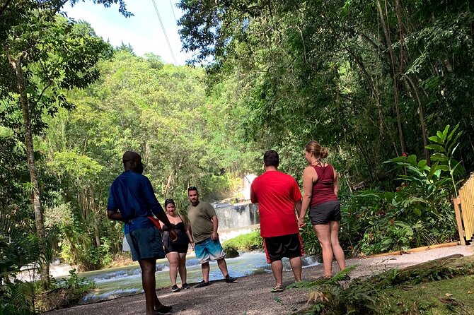 Appleton estate,YS Falls,Black River Safari,Pelican Bar(any 3of4) - A southern Jamaica day built around choice