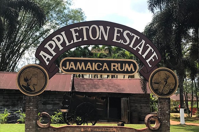 Appleton Rum Factory, YS Falls, and Reggae Horseback Ride & Swim Combo Tour - Why this Jamaican combo tour covers so much ground