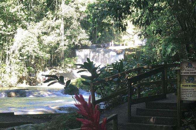 Appleton Rum Factory, Ys Falls, Black River Safari, Floyd’s Pelican Bar - A slow hour on the Black River
