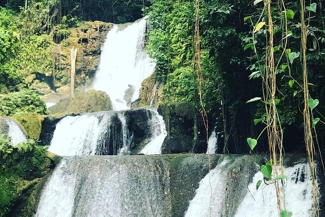 Appleton Rum Factory, Ys Falls, Black River Safari, Floyd’s Pelican Bar - Is $169 a fair price?