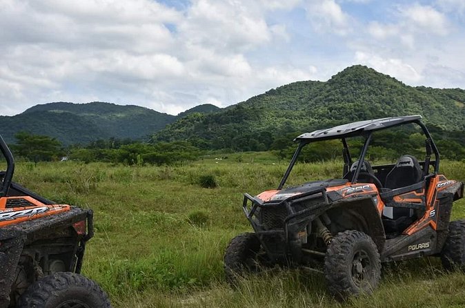 ATV Experience, cultural and social tour - Fruit, sugar cane, and a taste of Ital food