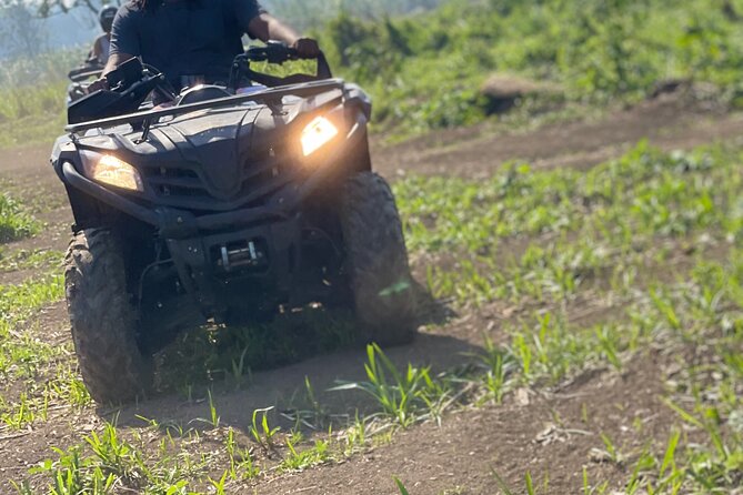 ATV, Zipline, Horseback, Bamboo Rafting and Rick’s Cafe - Bamboo rafting offers a calmer Jamaican interlude