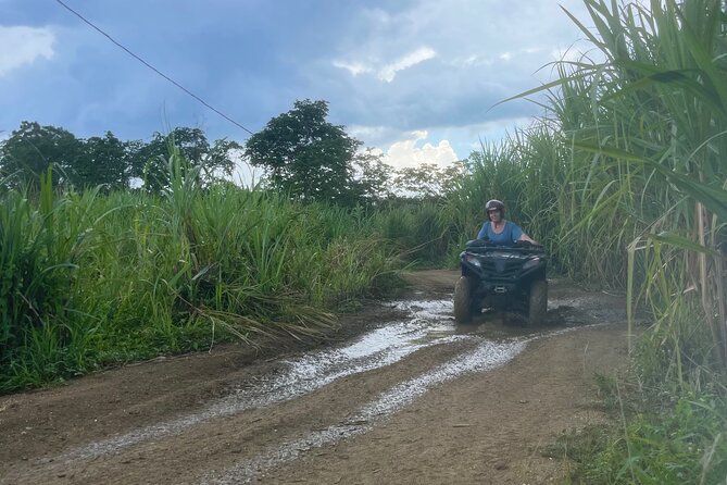 ATV, Zipline, Horseback, Bamboo Rafting and Rick’s Cafe - Transport from Montego Bay can shape your whole day