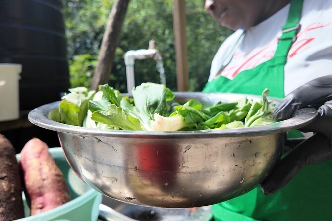 Authentic Jamaican Cooking Experience in the Mountain from mobay - Weather, cancellations, and practical limits