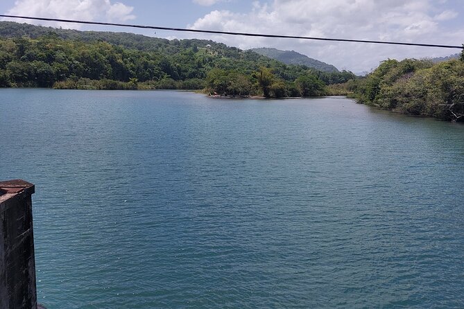Bamboo Rafting and Boston Jerk Centre Tour in Portland Jamaica - Who will enjoy this outing most