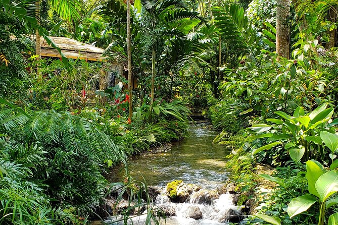 Bamboo rafting and Horseback ridding - Why this Jamaica combination works