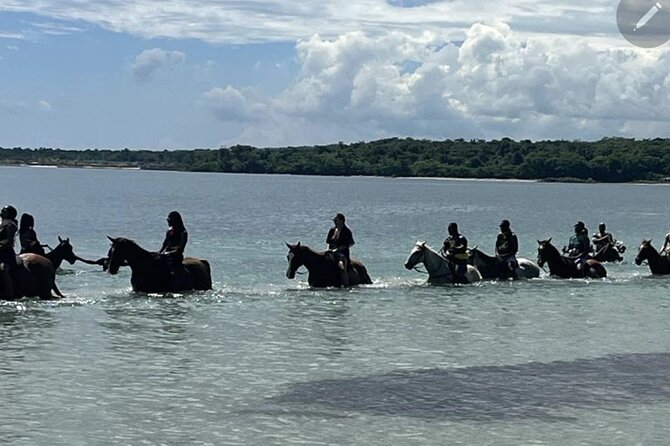 Bamboo Rafting and HorseBack Riding Excursion in OchoRios Jamaica - From Ocho Rios to a Jamaican river