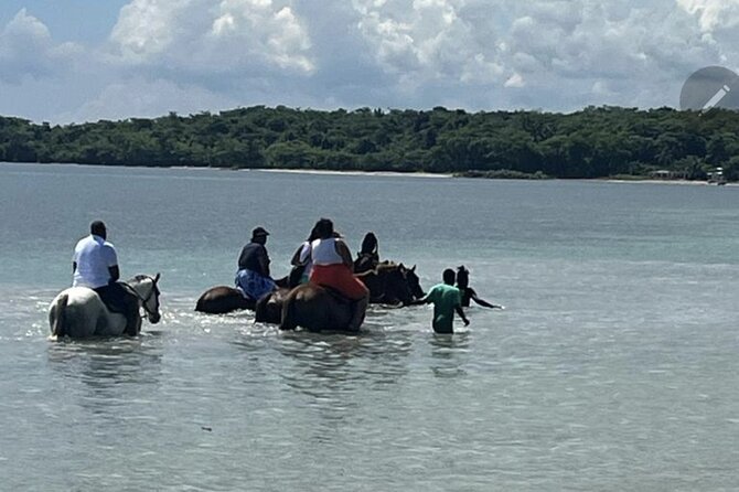 Bamboo Rafting and HorseBack Riding Excursion in OchoRios Jamaica - Riding from the trail into the sea