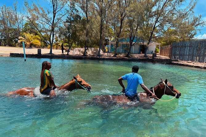 Bamboo Rafting & Horseback Ride n Swim Guided Tour In Montego Bay - A jerk lunch at Scotchie’s