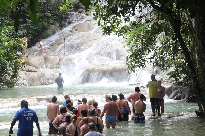 Beach Horseback Riding and Dunn’s River Falls - Who will enjoy this tour most