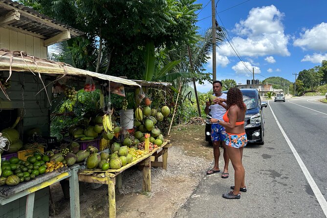 Benta River & Falls Private Tour From Montego Bay - A two-hour route through the falls