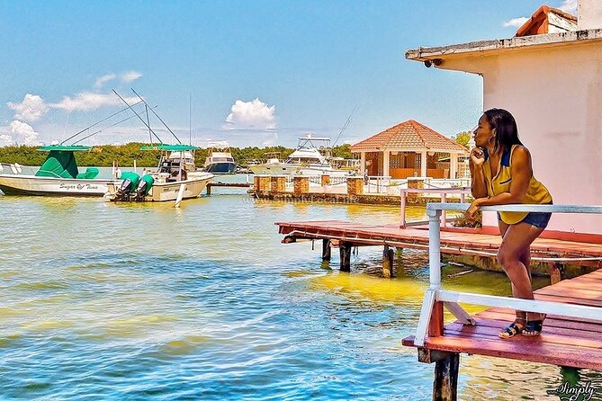 Bioluminescence Lagoon Tour from Montego Bay with Pick Up - Weather and moonlight can change the result