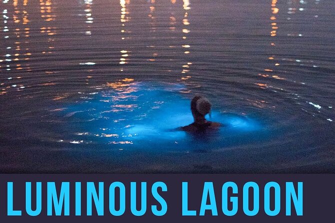 Bioluminescence Lagoon Tour from Montego Bay with Pick Up - What the $105 price includes