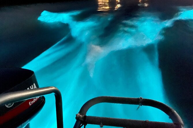 Bioluminescence Lagoon Tour from Montego Bay with Pick Up - Who will enjoy this experience most
