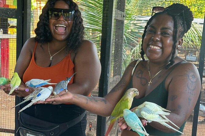 Bird Sanctuary and animal farm Day Tour - Adding Montego Bay’s hip strip