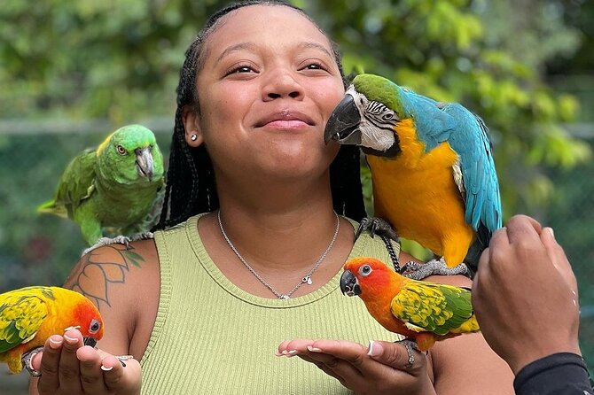 Bird Sanctuary and animal farm Day Tour - The animal farm adds a second kind of encounter