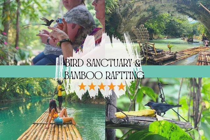 Bird Sanctuary and/or Lethe Bamboo Rafting from Montego Bay - Rocklands: Jamaica’s Most Personal Bird Encounter