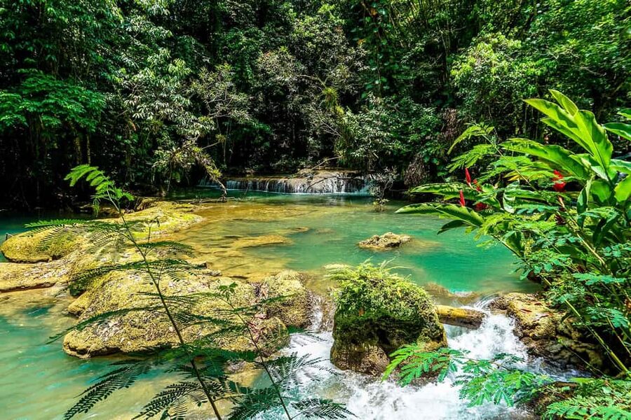 Black River Safari and Ys Falls Tour and Transportation - Practical planning for a smoother day