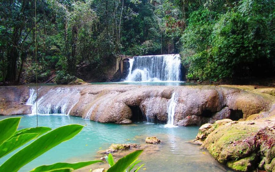 Black River Safari and Ys Falls Tour and Transportation - Cruising the Black River for one hour